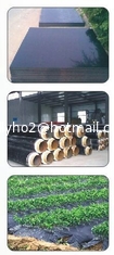 China Dehydration Masterbatch Removing Recycle HDPE Water Efficiently PE-200 supplier